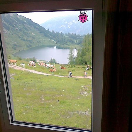 Hotel Berghof Tauplitzalm ภายนอก รูปภาพ