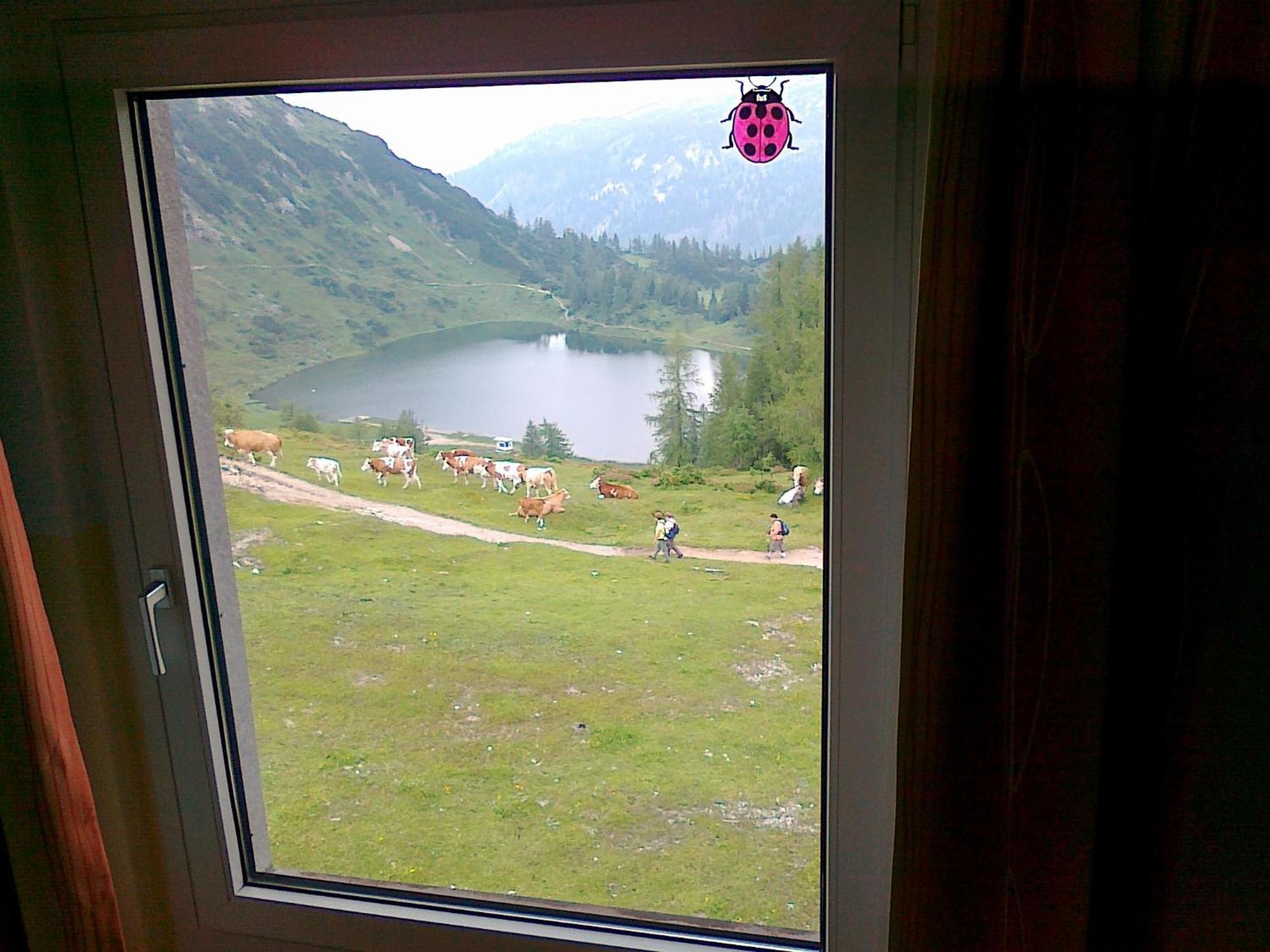 Hotel Berghof Tauplitzalm ภายนอก รูปภาพ