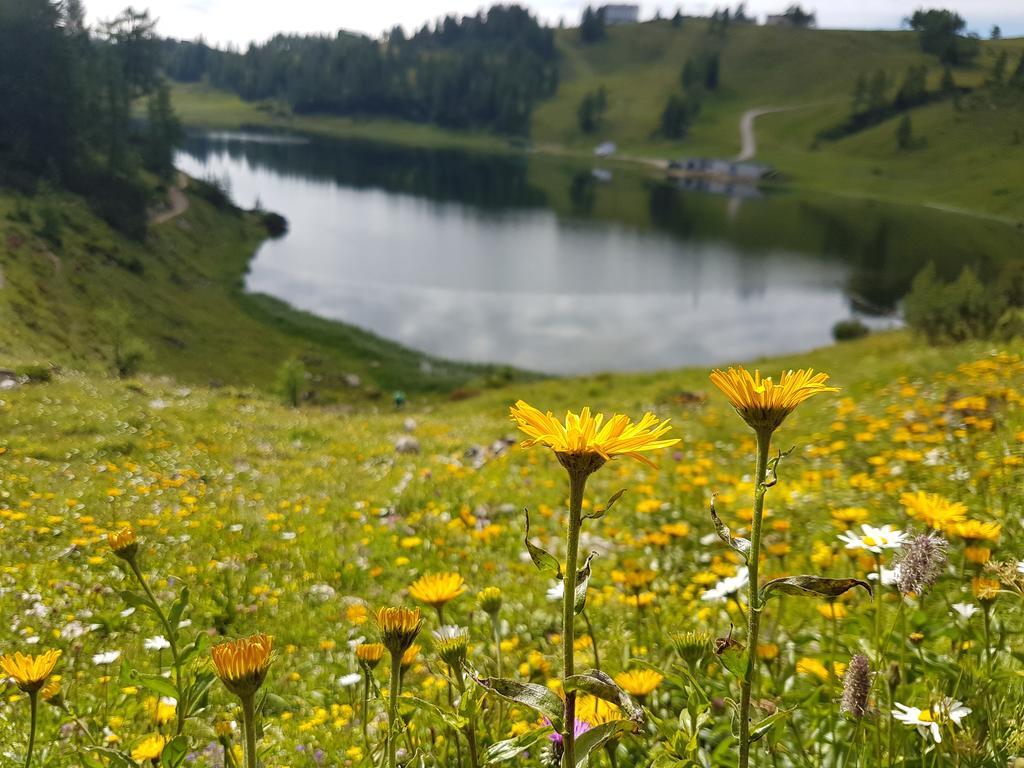 Hotel Berghof Tauplitzalm ภายนอก รูปภาพ
